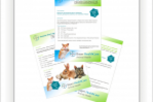 письмо-приглашение А4