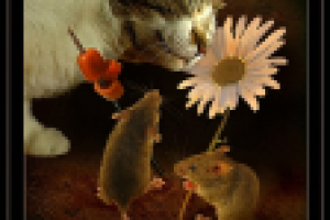 В праздник нашей Киске, дарим мы сосиски...