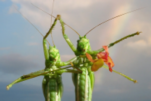 Мир Май Труд !