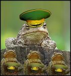 img178777.png