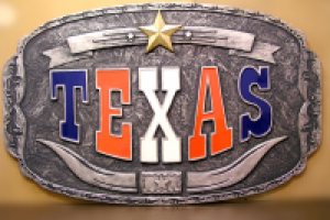 ДЕКОРАТИВНАЯ ВСТАВКА В ИНТЕРЬЕР_2