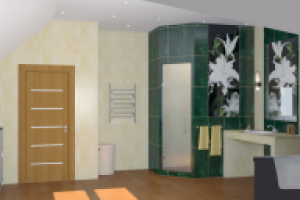 Частный дом (санузел)