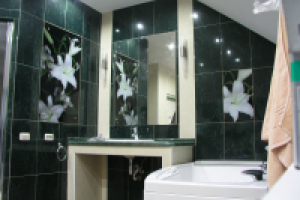 Частный дом (санузел_2)