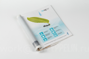 Макет для СМИ (Воронеж)