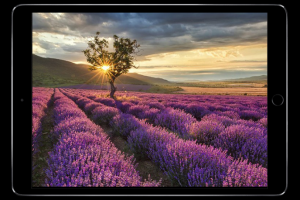 Интернет-магазин натуральной косметики