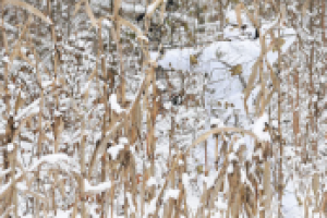 применение