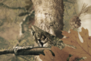 детализация