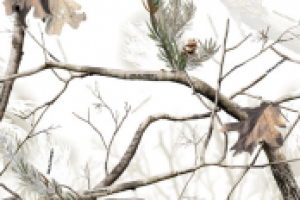 Работа 1280767