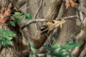 Работа 1280766