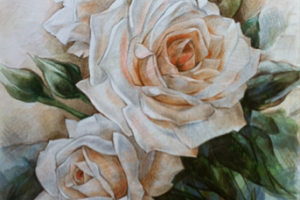 Розы. Акв. бумага, цв. графика.