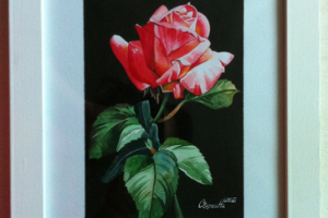 Роза (в рамке). Акв. бумага, акварель.