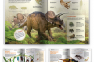 Верстка энциклопедии, фотоколлаж (иллюстрации), инфографика