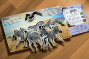 Дизайн и верстка детской книги с объемными иллюстрациями