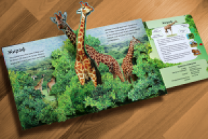 Дизайн и верстка детской книги с объемными иллюстрациями