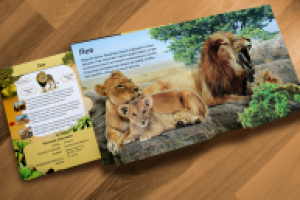 Дизайн и верстка детской книги с объемными иллюстрациями