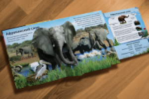 Дизайн и верстка детской книги с объемными иллюстрациями