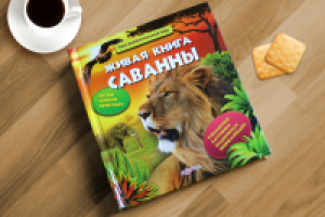 Дизайн обложки