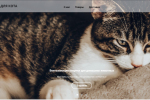 Верстка и дизайн сайта http://matforcat.org.ru