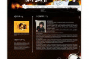 Дизайн + верстка для сайта группы "ЗИГЗАГИ" 10000р