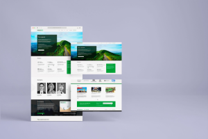 Адаптивный дизайна сайта консалтинг