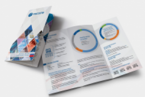 Лифлет Россети