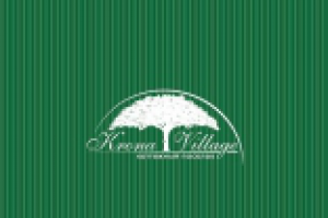 Разработка брендбука котеджному поселку крона виладж