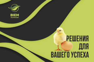 Презентация животноводство