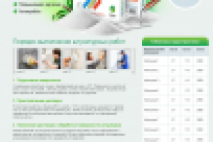 промо-сайт Indau-Group