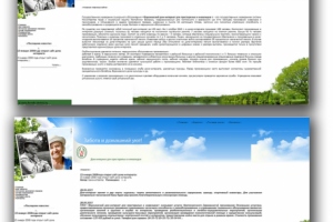 Вороновский дом-интернат (написание cms)