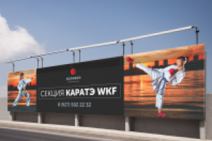 Визуализация для клуба каратэ «Колизей»