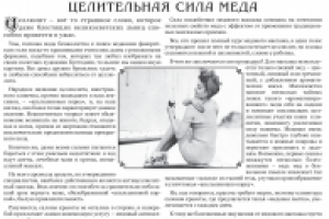 Целительная сила меда