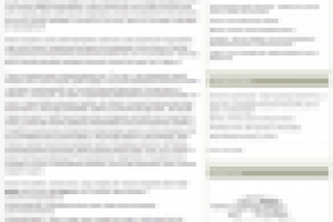 Как попасть в «золотой список» Twitter