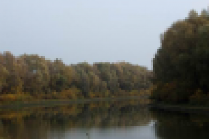 В зеркале октября