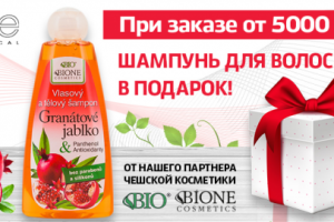 Баннер ТЕТЕ