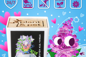 Карточка товара