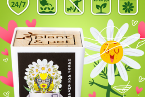 Карточка товара