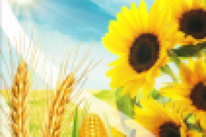 Обложка для буклета