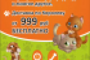 Листовка зоомагазина