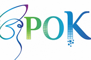 Цифрокисть