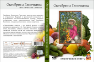 Обложка для диска