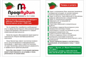 Листовка "Профаудит"