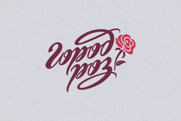 img3514385.png