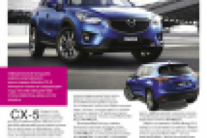 Статья в журнал