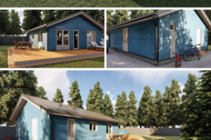 Проект и экстерьер/интерьер визуализация