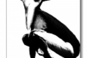 Холст + масло