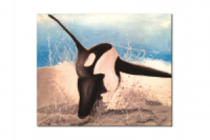 Холст + масло