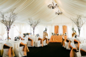 Название компании - Сервис бронирования площадок под мероприятия