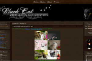 Портал про котов