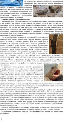 img3400810.png