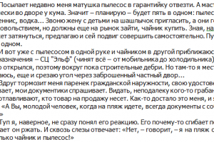 Весёлый мент